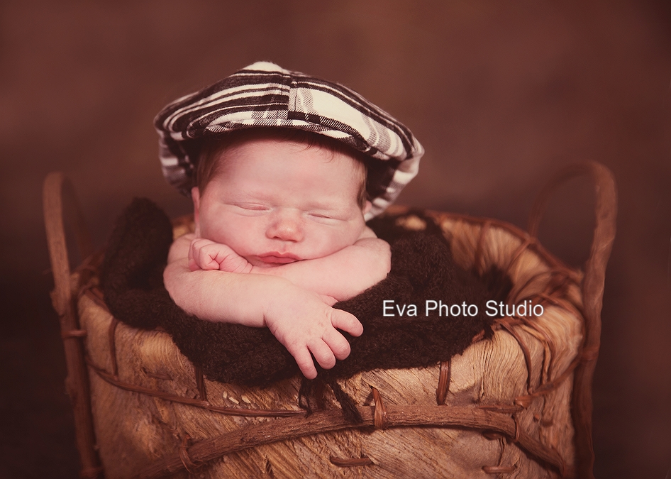 tampa baby photographer images